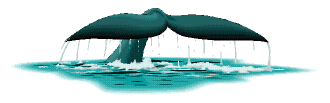 [Cetus Links]